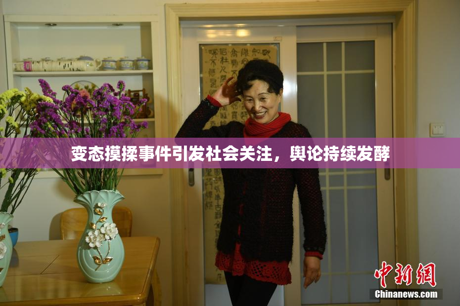 变态摸揉事件引发社会关注，舆论持续发酵