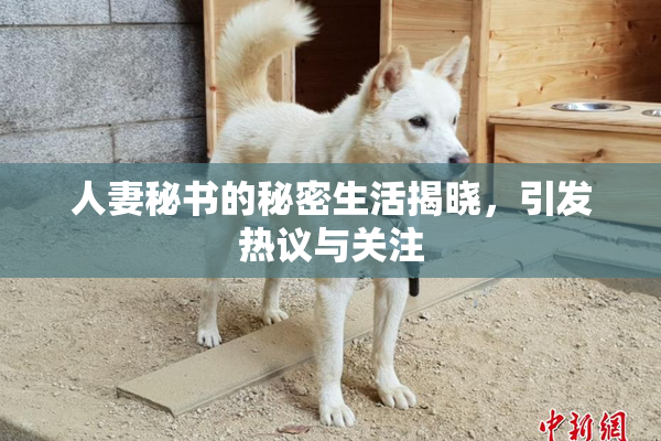 人妻秘书的秘密生活揭晓，引发热议与关注