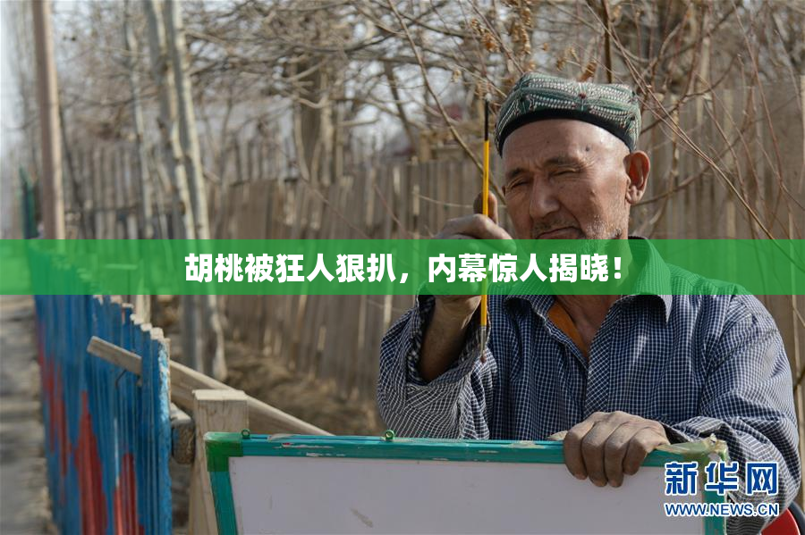 胡桃被狂人狠扒，内幕惊人揭晓！