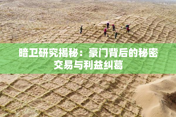 暗卫研究揭秘：豪门背后的秘密交易与利益纠葛