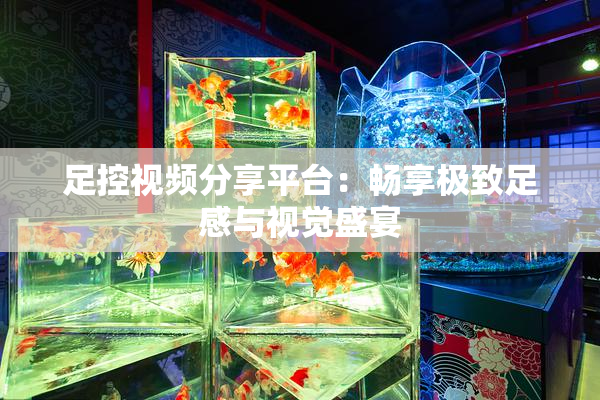 足控视频分享平台：畅享极致足感与视觉盛宴
