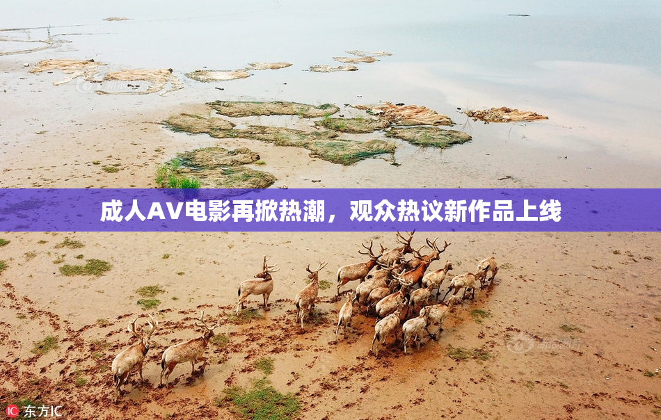 成人AV电影再掀热潮，观众热议新作品上线