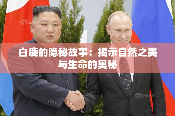 白鹿的隐秘故事：揭示自然之美与生命的奥秘