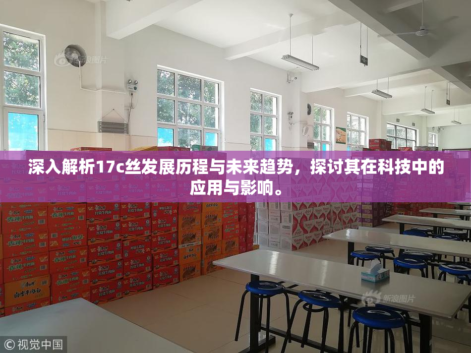 深入解析17c丝发展历程与未来趋势，探讨其在科技中的应用与影响。
