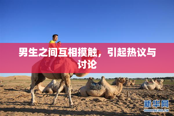 男生之间互相摸触，引起热议与讨论