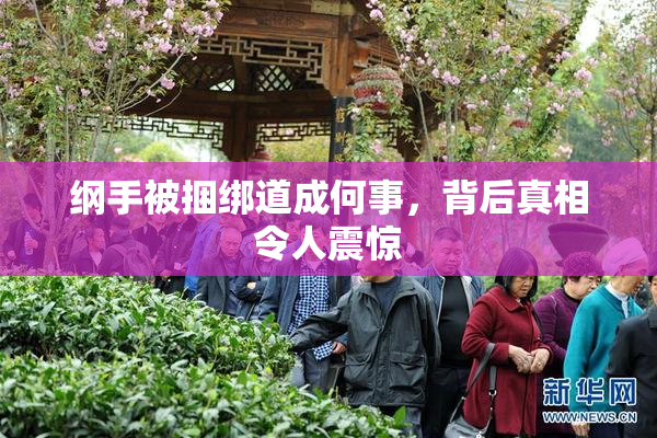 纲手被捆绑道成何事，背后真相令人震惊