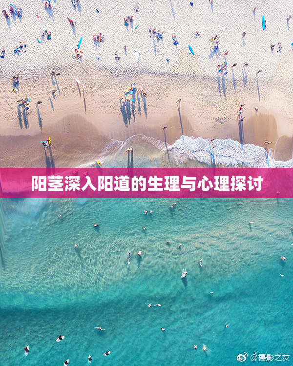 阳茎深入阳道的生理与心理探讨