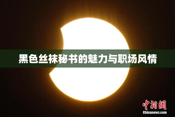 黑色丝袜秘书的魅力与职场风情