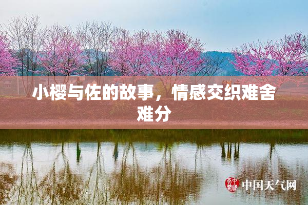小樱与佐的故事，情感交织难舍难分