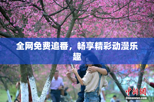 全网免费追番，畅享精彩动漫乐趣