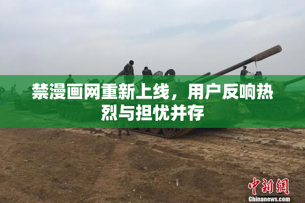 禁漫画网重新上线，用户反响热烈与担忧并存