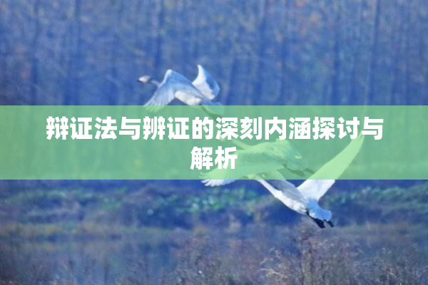辩证法与辨证的深刻内涵探讨与解析
