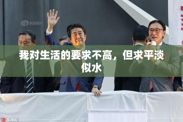 我对生活的要求不高，但求平淡似水