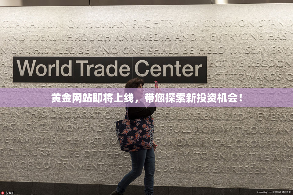 黄金网站即将上线，带您探索新投资机会！