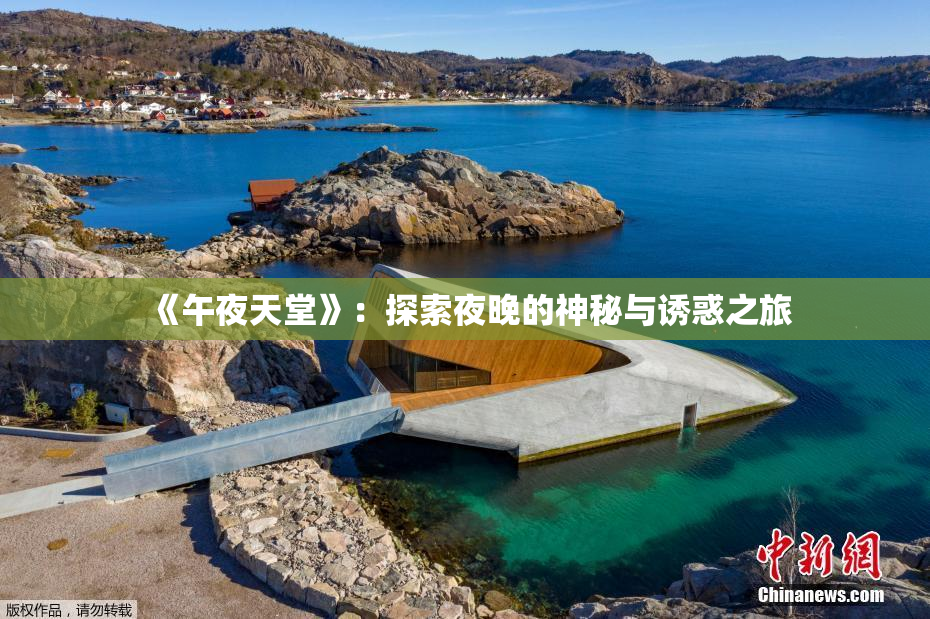 《午夜天堂》：探索夜晚的神秘与诱惑之旅