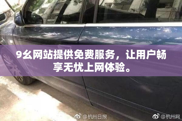 9幺网站提供免费服务，让用户畅享无忧上网体验。