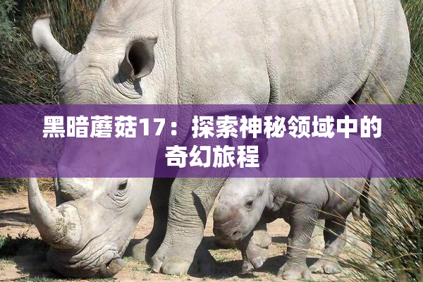 黑暗蘑菇17：探索神秘领域中的奇幻旅程