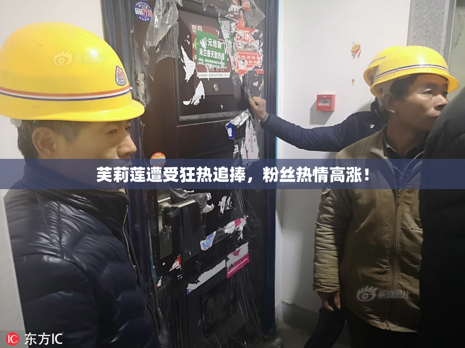 芙莉莲遭受狂热追捧，粉丝热情高涨！