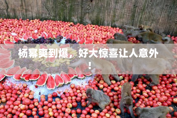 杨幂爽到爆，好大惊喜让人意外！