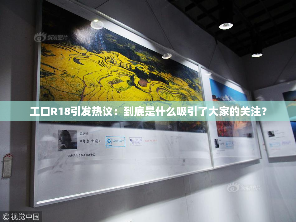 工口R18引发热议：到底是什么吸引了大家的关注？