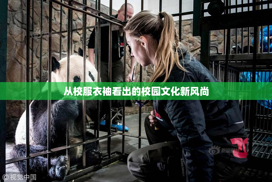 从校服衣袖看出的校园文化新风尚