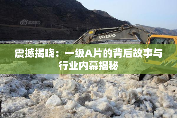 震撼揭晓：一级A片的背后故事与行业内幕揭秘