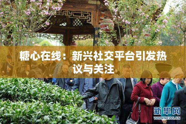 糖心在线：新兴社交平台引发热议与关注