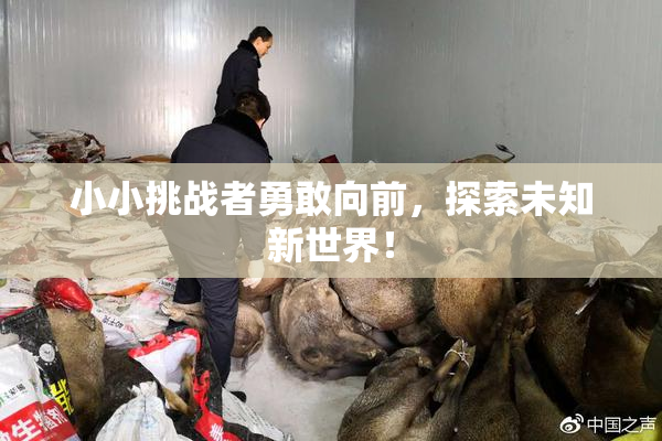 小小挑战者勇敢向前，探索未知新世界！