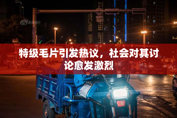 特级毛片引发热议，社会对其讨论愈发激烈