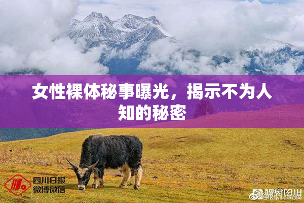 女性裸体秘事曝光，揭示不为人知的秘密