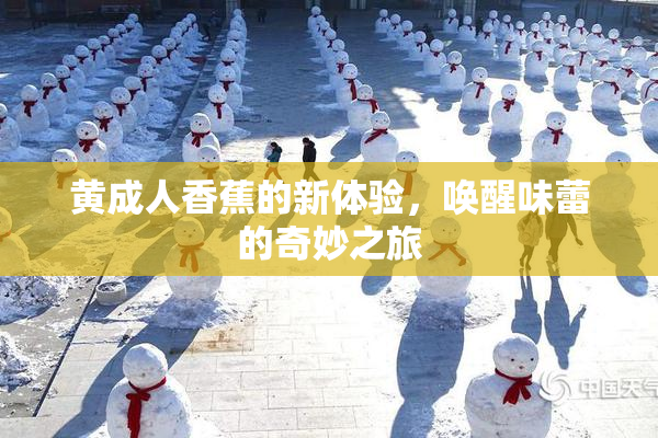 黄成人香蕉的新体验，唤醒味蕾的奇妙之旅