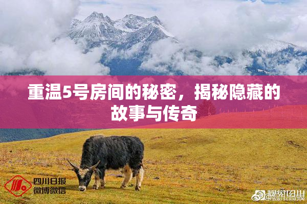 重温5号房间的秘密，揭秘隐藏的故事与传奇
