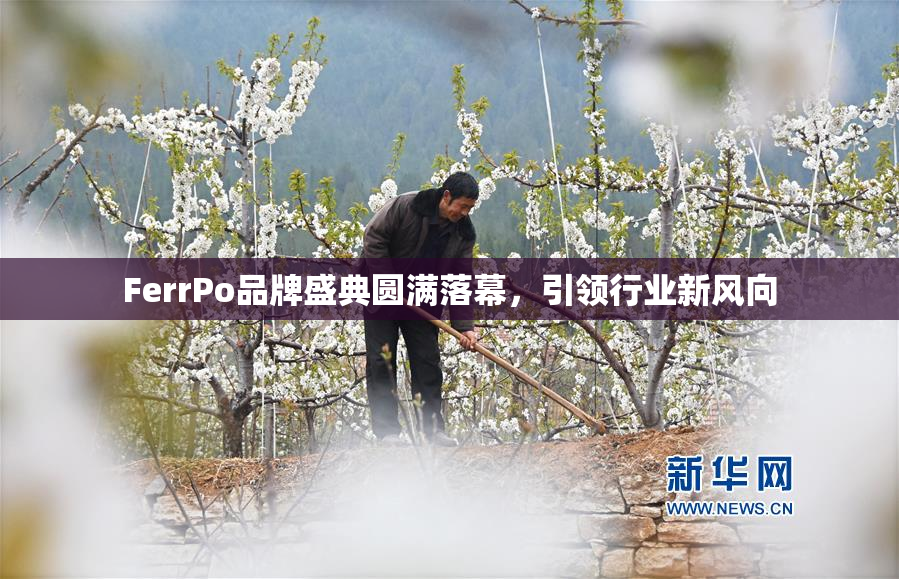 FerrPo品牌盛典圆满落幕，引领行业新风向
