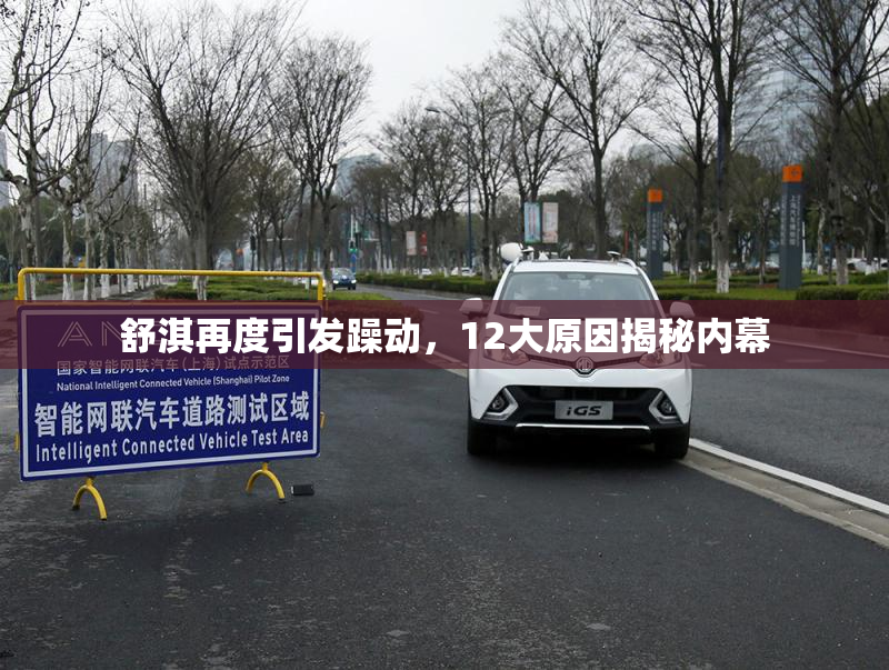 舒淇再度引发躁动，12大原因揭秘内幕