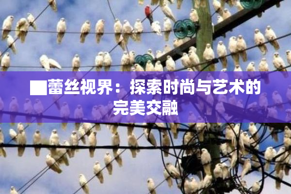 ▇蕾丝视界：探索时尚与艺术的完美交融