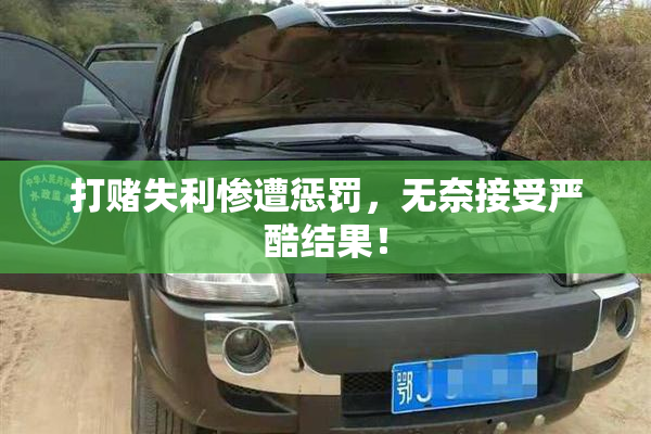 打赌失利惨遭惩罚，无奈接受严酷结果！