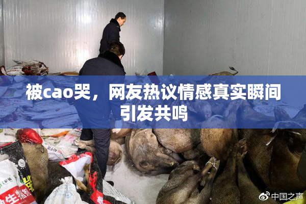 被cao哭，网友热议情感真实瞬间引发共鸣