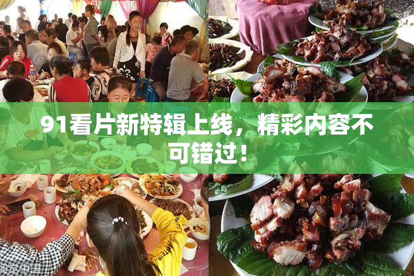 91看片新特辑上线，精彩内容不可错过！