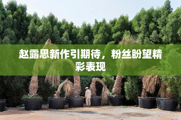 赵露思新作引期待，粉丝盼望精彩表现