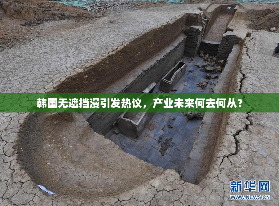 韩国无遮挡漫引发热议，产业未来何去何从？