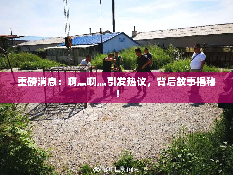 重磅消息：啊灬啊灬引发热议，背后故事揭秘！