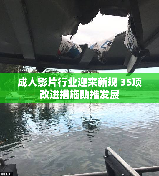 成人影片行业迎来新规 35项改进措施助推发展