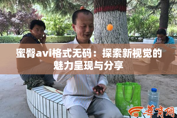 蜜臀avi格式无码：探索新视觉的魅力呈现与分享