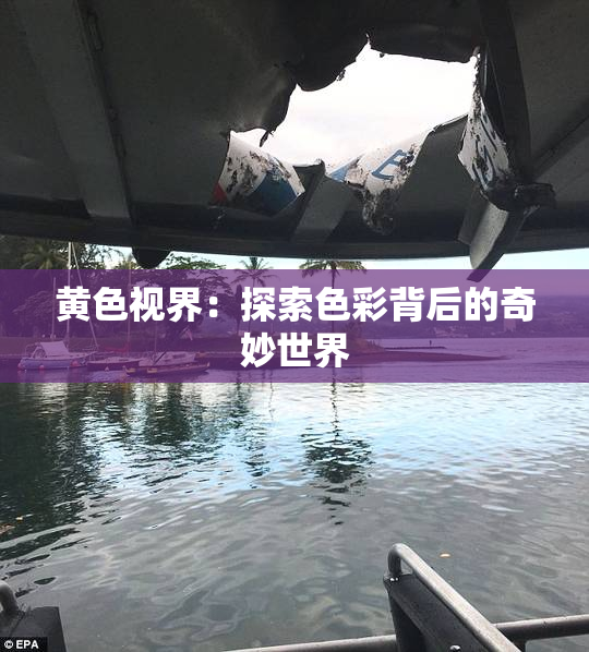 黄色视界：探索色彩背后的奇妙世界