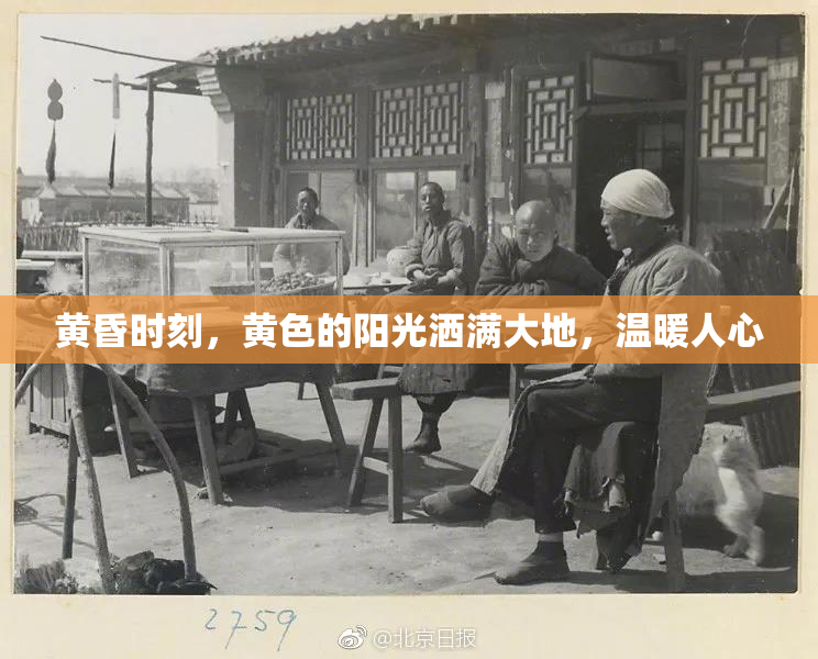 黄昏时刻，黄色的阳光洒满大地，温暖人心