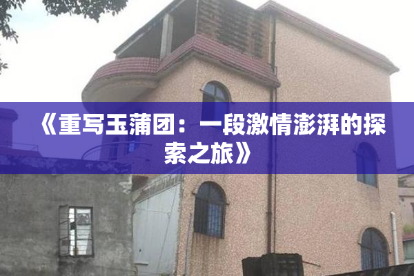 《重写玉蒲团：一段激情澎湃的探索之旅》