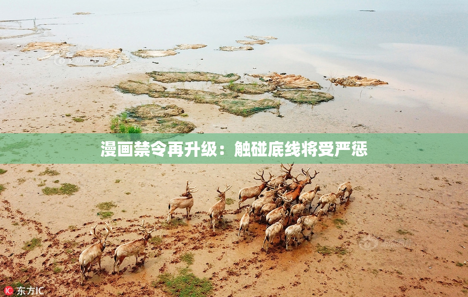 漫画禁令再升级：触碰底线将受严惩