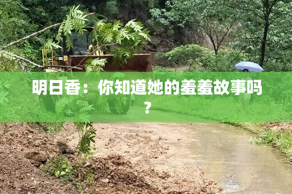 明日香：你知道她的羞羞故事吗？