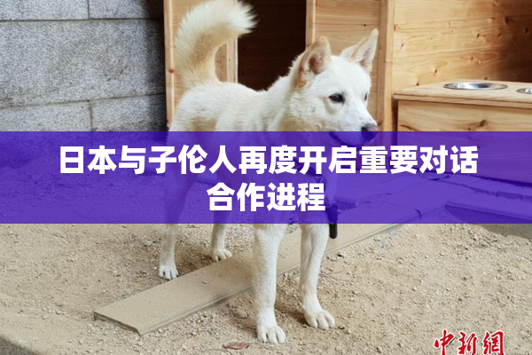 日本与子伦人再度开启重要对话合作进程
