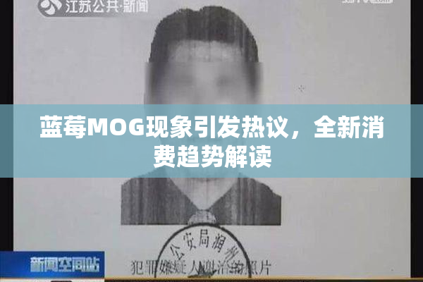 蓝莓MOG现象引发热议，全新消费趋势解读
